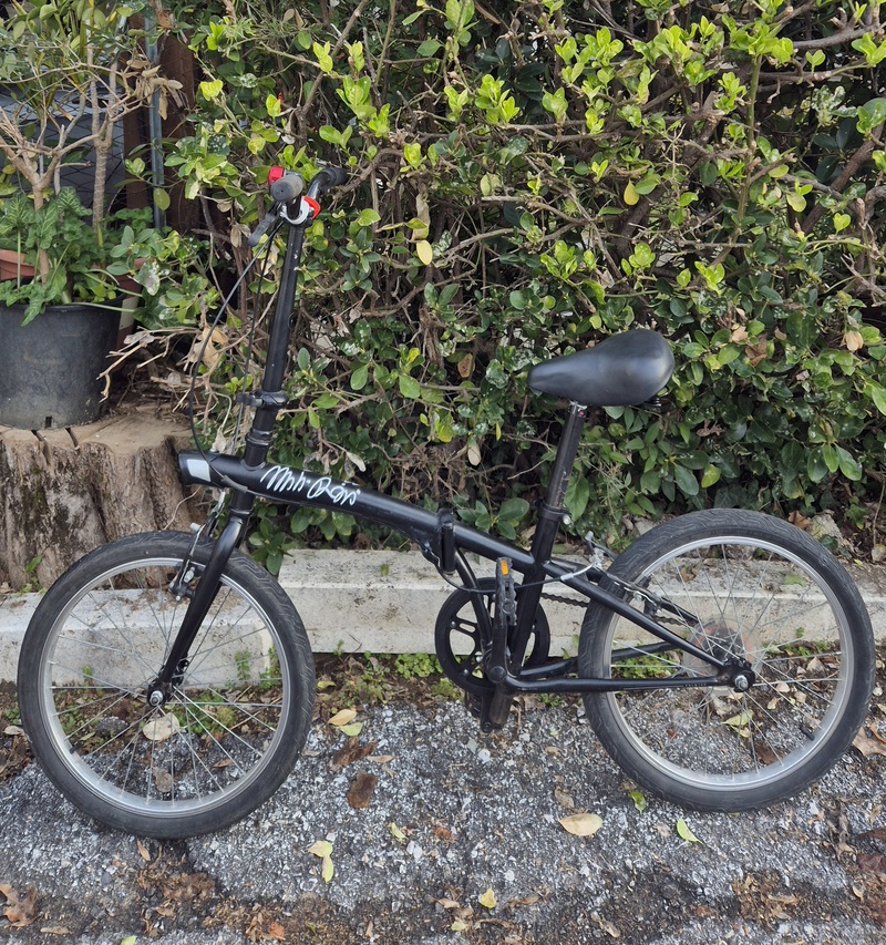 Bicicletta nera pieghevole.