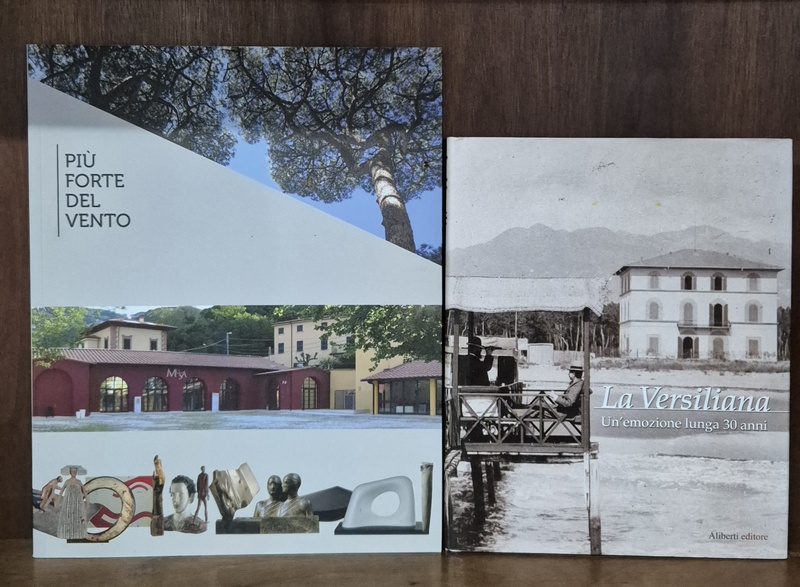 Cataloghi d'Arte: La Versiliana e Il Patrimonio di Pietrasanta.