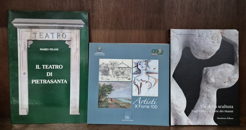 Cataloghi d'Arte: Storia, Scultura e Territorio Apuo-Versiliese.